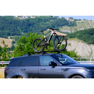 Tagcykelholder Clover SX black