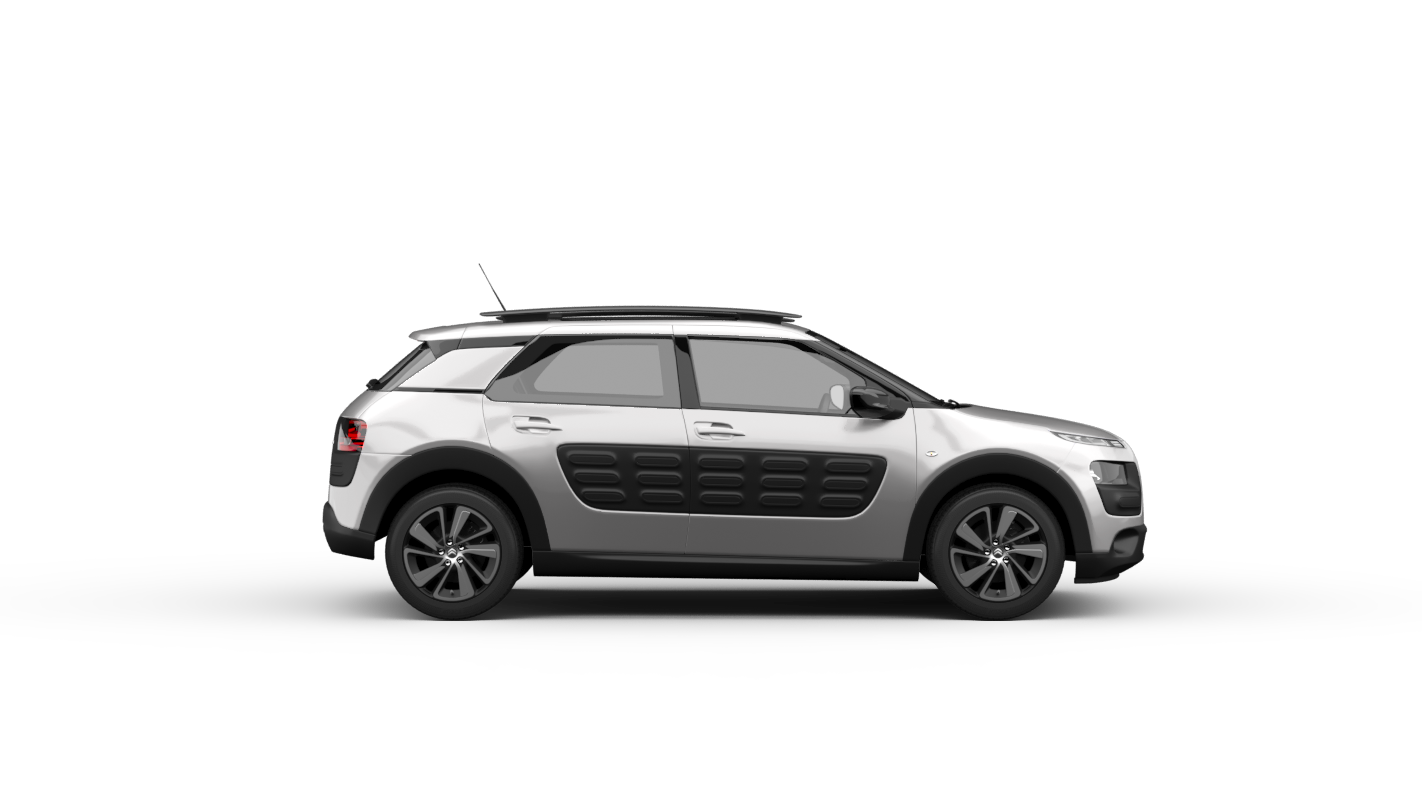C4 CACTUS