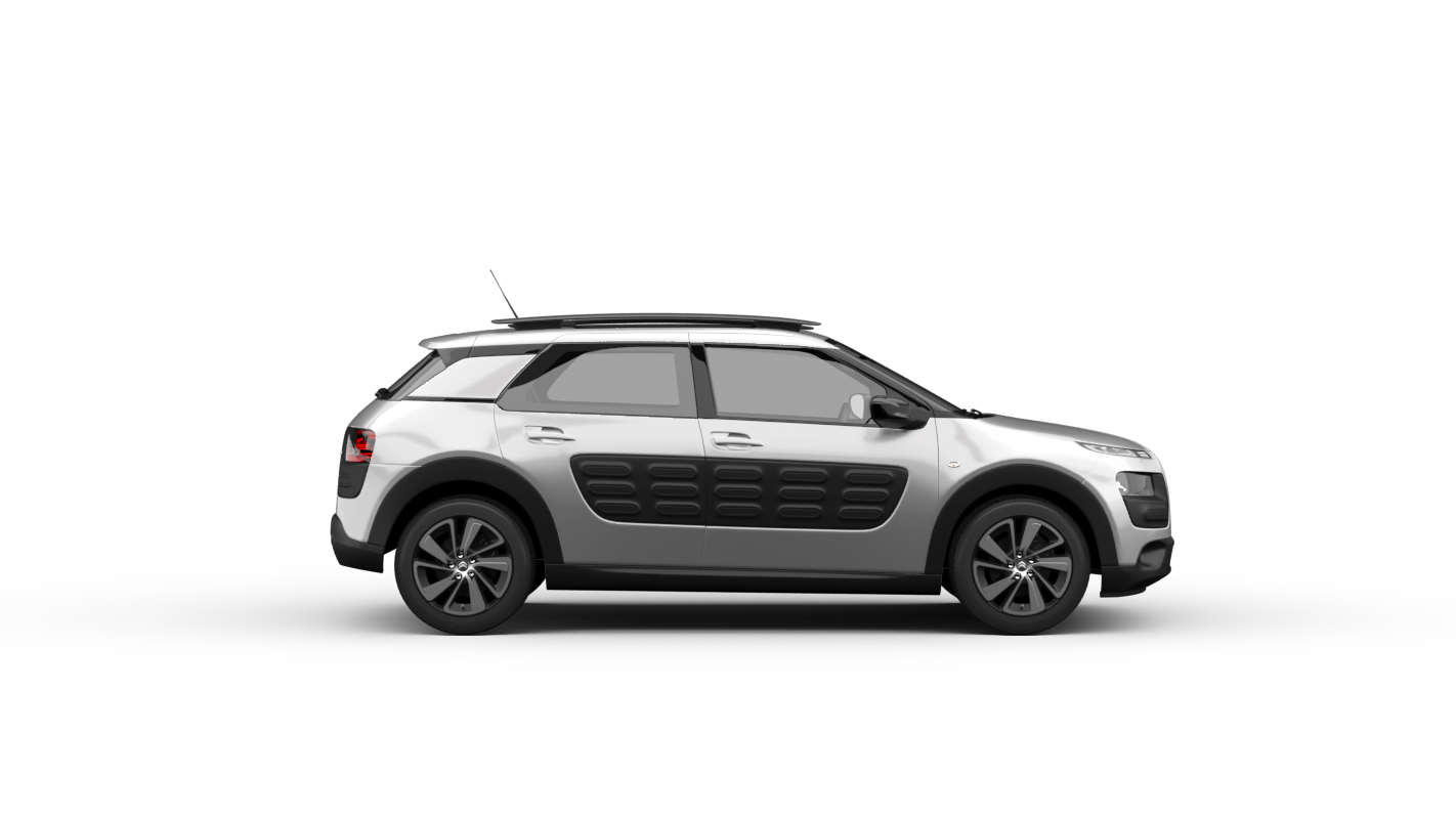 Tagbøjler Citroën C4 CACTUS - Køb nu! RAMEDER Onlineshop